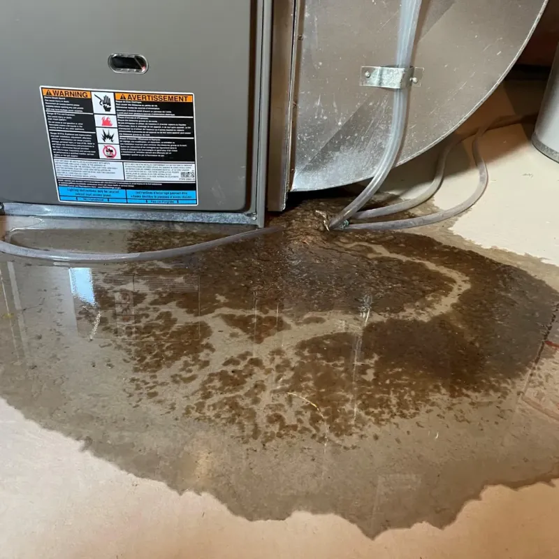 Appliance Leak Cleanup in Salem, SD